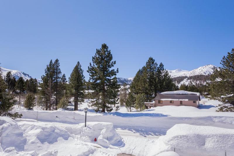 Mammoth Green # 105 Mammoth Lakes Pokoj fotografie